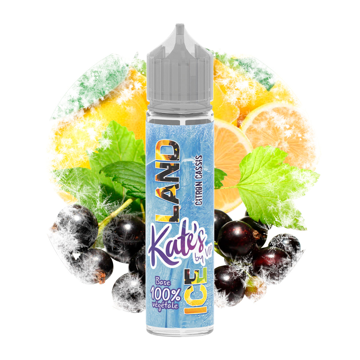 KATES - CASIS CITRON