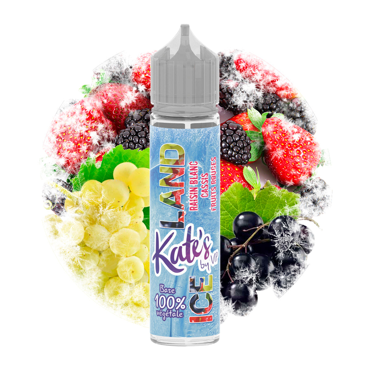 KATES - RAISIN BLANC CASIS FRUIT ROUGE